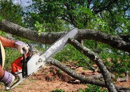 Best Utility Line Clearance  in Onsted, MI